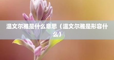 温文尔雅是什么意思解释一下（温文尔雅是什么意思什么梗）
