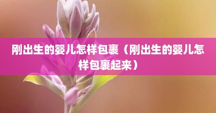 刚出生的婴儿怎样包裹（刚出生的婴儿怎样包裹起来）