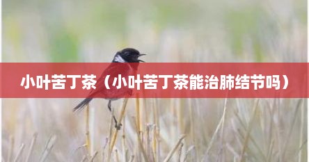 小叶苦丁茶能排毒吗(小叶苦丁茶的治病案例) 小叶苦丁茶能排毒吗(小叶苦丁茶的治病案例)