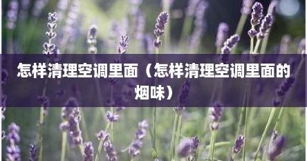怎样清理空调里面（怎样清理空调里面的烟味）