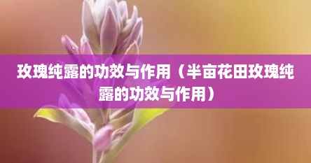 玫瑰纯露的功效与作用（半亩花田玫瑰纯露的功效与作用）