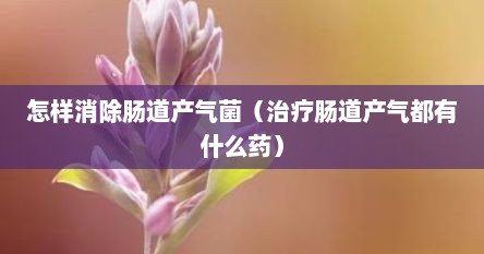 怎样消除肠道产气菌（治疗肠道产气都有什么药）