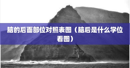 脑的后面部位对照表图（脑后是什么学位看图）