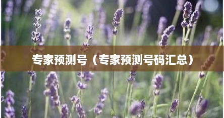 专家预测号（专家预测号码汇总）
