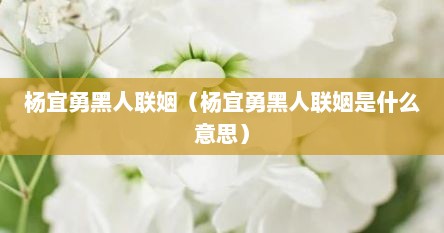 杨宜勇黑人联姻（杨宜勇黑人联姻是什么意思）