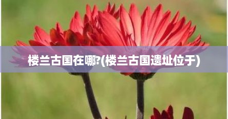 楼兰古国在哪?(楼兰古国遗址位于)