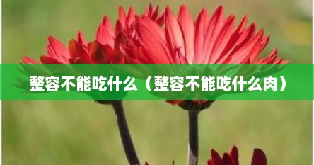 整容不能吃什么（整容不能吃什么肉）