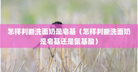 怎样判断洗面奶是皂基（怎样判断洗面奶是皂基还是氨基酸）