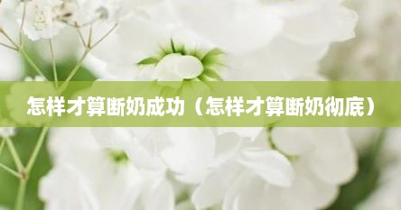 怎样才算断奶成功（怎样才算断奶彻底）
