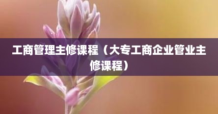 工商管理主修课程（大专工商企业管业主修课程）