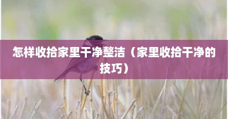 怎样收拾家里干净整洁（家里收拾干净的技巧）