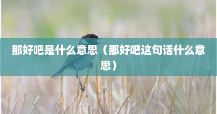 那好吧是什么意思（那好吧这句话什么意思）