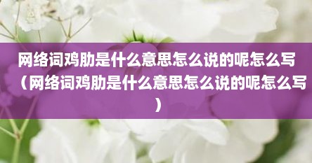 网络词鸡肋是什么意思怎么说的呢怎么写（网络词鸡肋是什么意思怎么说的呢怎么写）