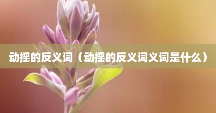 动摇的反义词（动摇的反义词义词是什么）