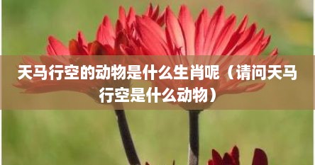 天马行空的动物是什么生肖呢（请问天马行空是什么动物）