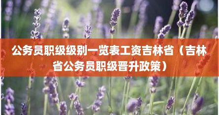 公务员职级级别一览表工资吉林省（吉林省公务员职级晋升政策）