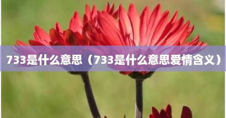 733是什么意思（733是什么意思爱情含义）