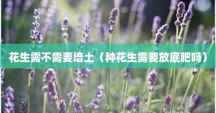 花生需不需要培土（种花生需要放底肥吗）