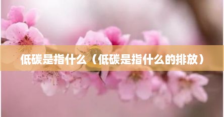 低碳是指什么（低碳是指什么的排放）