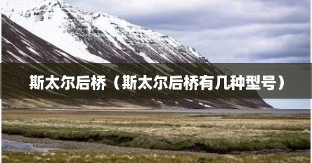斯太尔后桥（斯太尔后桥有几种型号）