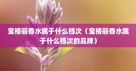 宝格丽香水属于什么档次（宝格丽香水属于什么档次的品牌）