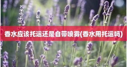 香水应该托运还是自带喷雾(香水用托运吗)
