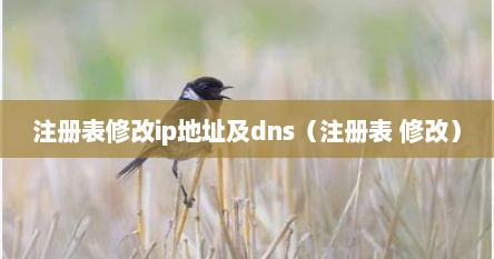 通过注册表修改ip地址（修改注册表命令）