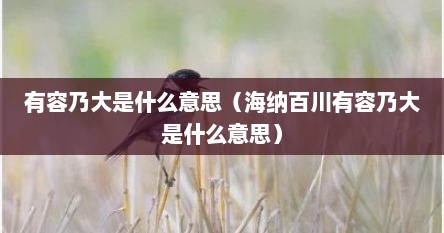 有容乃大是什么意思（海纳百川有容乃大是什么意思）