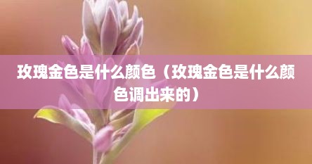 玫瑰金色是什么颜色（玫瑰金色是什么颜色调出来的）