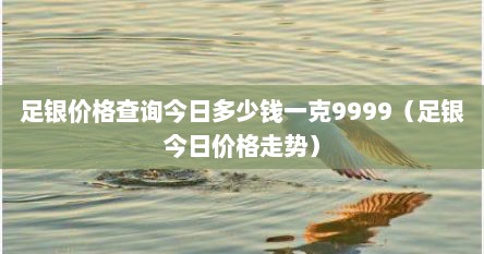足银价格查询今日多少钱一克9999（足银今日价格走势）