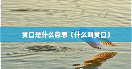 贯口是什么意思（什么叫贯口）