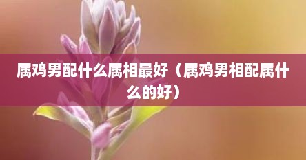 属鸡男配什么属相最好（属鸡男相配属什么的好）