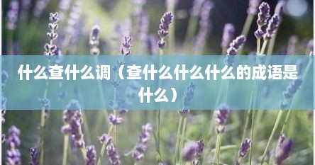什么查什么调（查什么什么什么的成语是什么）