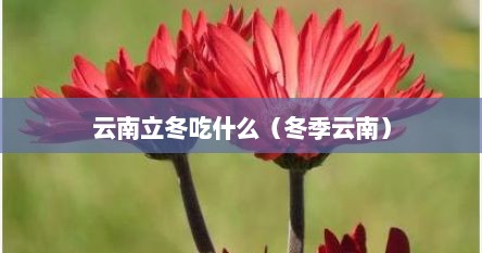 云南立冬吃什么（冬季云南）