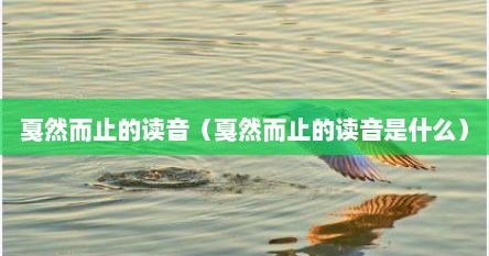 戛然而止的读音（戛然而止的读音是什么）