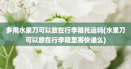 多用水果刀可以放在行李箱托运吗(水果刀可以放在行李箱里寄快递么)