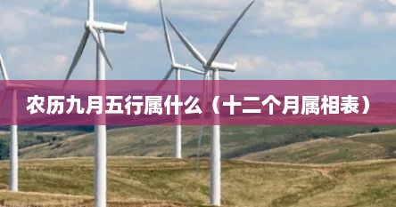 农历九月五行属什么（十二个月属相表）