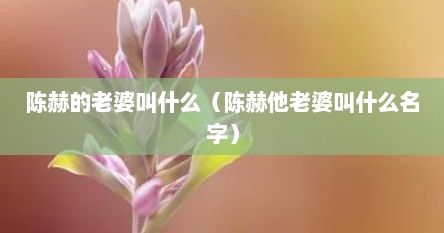 陈赫的老婆叫什么（陈赫他老婆叫什么名字）
