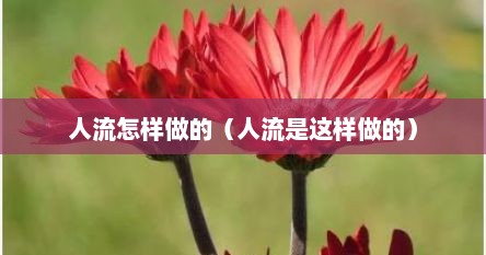 人流怎样做的（人流是这样做的）