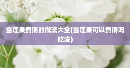 雪莲果煮粥的做法大全(雪莲果可以煮粥吗吃法)