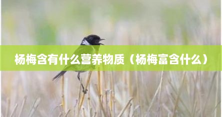 杨梅含有什么营养物质（杨梅富含什么）