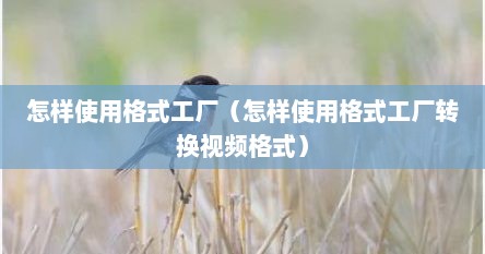 怎样使用格式工厂（怎样使用格式工厂转换视频格式）