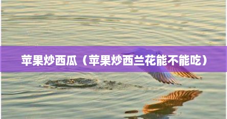 苹果炒西瓜（苹果炒西兰花能不能吃）