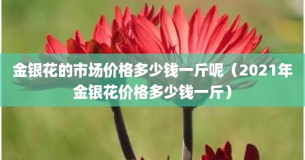 金银花的市场价格多少钱一斤呢（2021年金银花价格多少钱一斤）