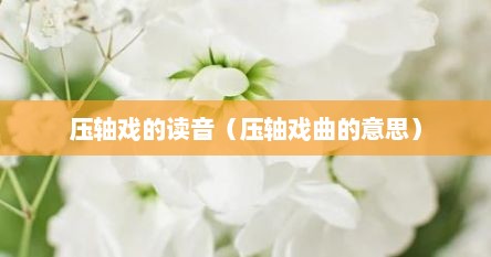 压轴在戏曲里的意思（压轴在戏曲中指什么）