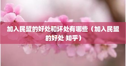 加入民盟的好处和坏处有哪些（加入民盟的好处 知乎）