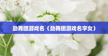 劲舞团游戏名（劲舞团游戏名字女）