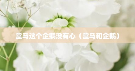 盒马这个企鹅没有心（盒马和企鹅）
