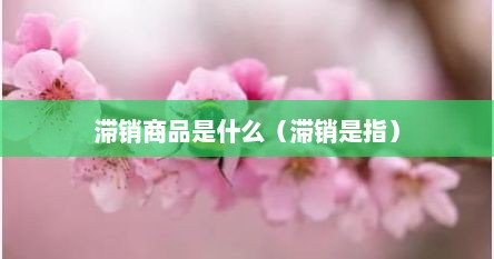 滞销商品是什么（滞销是指）