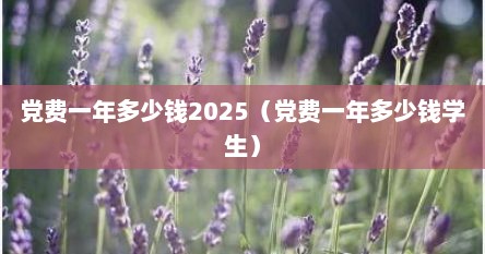 党费一年大概交多少（党费一年2.4元）